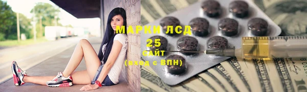 стаф Кирсанов