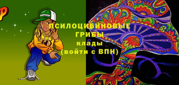ГАЛЛЮЦИНОГЕННЫЕ ГРИБЫ Киселёвск