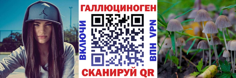 купить наркотики сайты  Озёрск  Галлюциногенные грибы MAGIC MUSHROOMS 