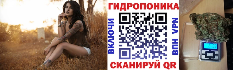 Канабис план  Озёрск 